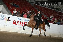 07Buckeye_2318 proof