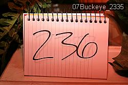 07Buckeye_2335 proof