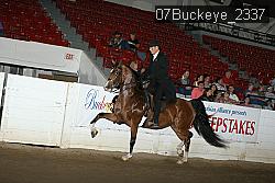 07Buckeye_2337 proof