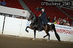 07Buckeye_2341 proof