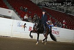 07Buckeye_2345 proof