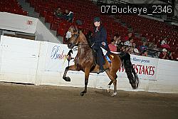 07Buckeye_2346 proof