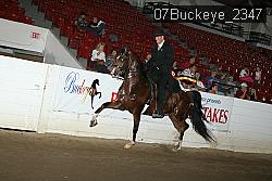 07Buckeye_2347 proof