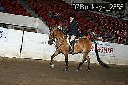 07Buckeye_2355 proof