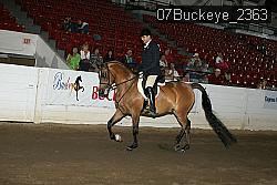 07Buckeye_2363 proof