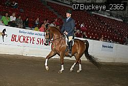 07Buckeye_2365 proof
