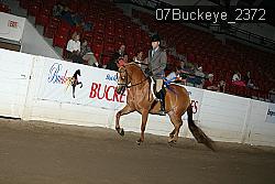 07Buckeye_2372 proof