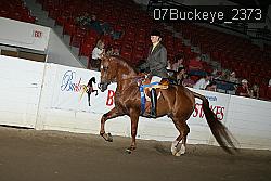 07Buckeye_2373 proof