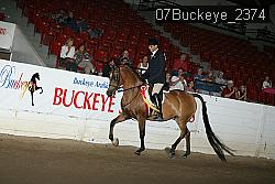 07Buckeye_2374 proof