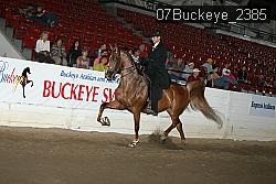 07Buckeye_2385 proof