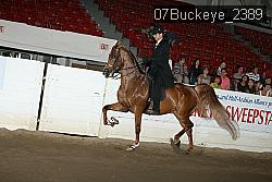 07Buckeye_2389 proof