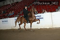 07Buckeye_2402 proof
