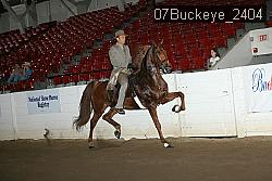 07Buckeye_2404 proof