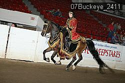 07Buckeye_2411 proof