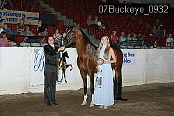 07Buckeye_0932 proof