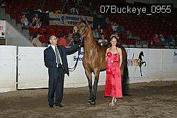 07Buckeye_0955 proof