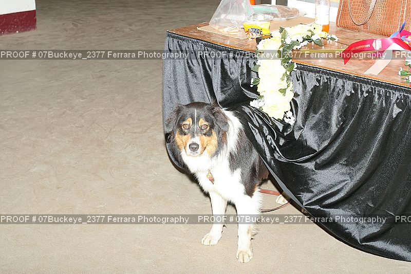 Proof 07Buckeye_2377