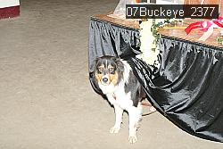 07Buckeye_2377 proof