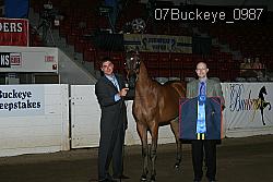 07Buckeye_0987 proof