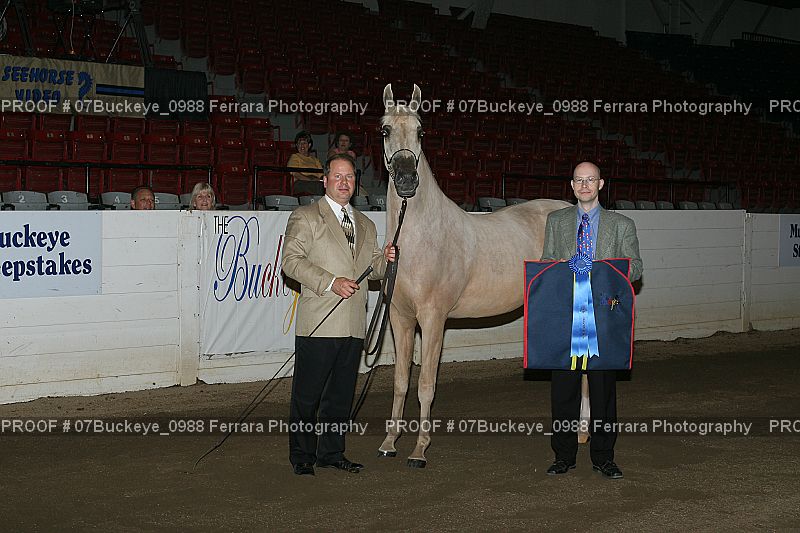 Proof 07Buckeye_0988