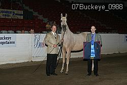 07Buckeye_0988 proof