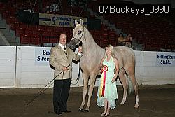 07Buckeye_0990 proof