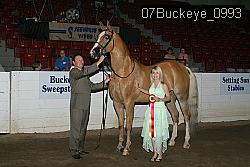 07Buckeye_0993 proof