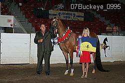 07Buckeye_0995 proof