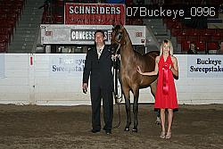 07Buckeye_0996 proof