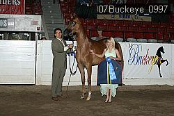 07Buckeye_0997 proof