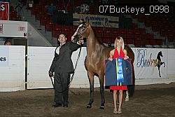 07Buckeye_0998 proof
