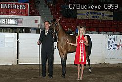 07Buckeye_0999 proof