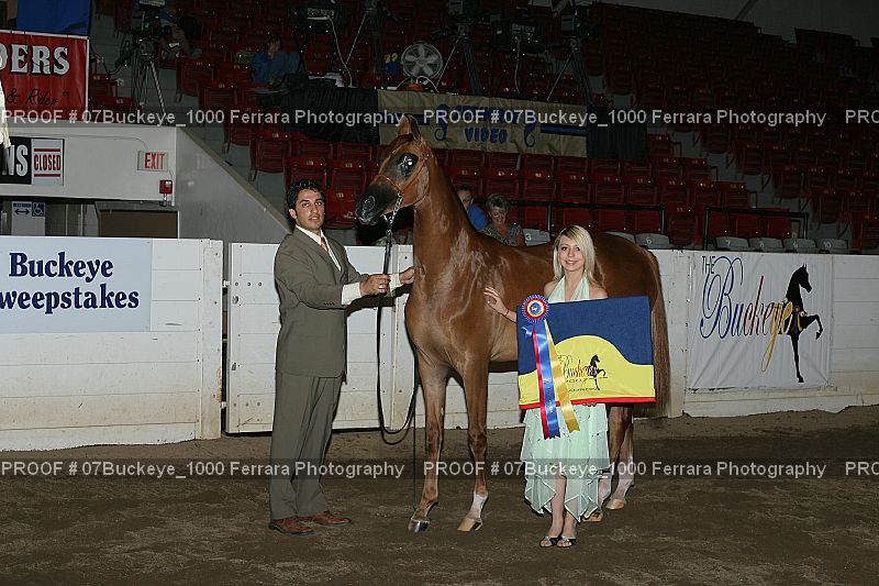 Proof 07Buckeye_1000