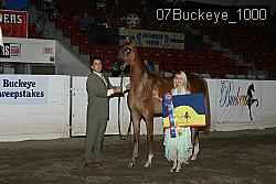 07Buckeye_1000 proof