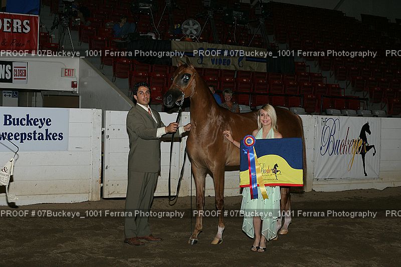Proof 07Buckeye_1001