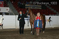 07Buckeye_1003 proof