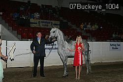 07Buckeye_1004 proof