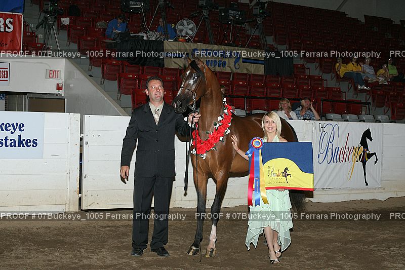 Proof 07Buckeye_1005