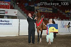 07Buckeye_1006 proof