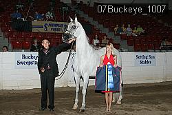 07Buckeye_1007 proof