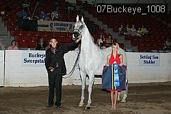 07Buckeye_1008 proof