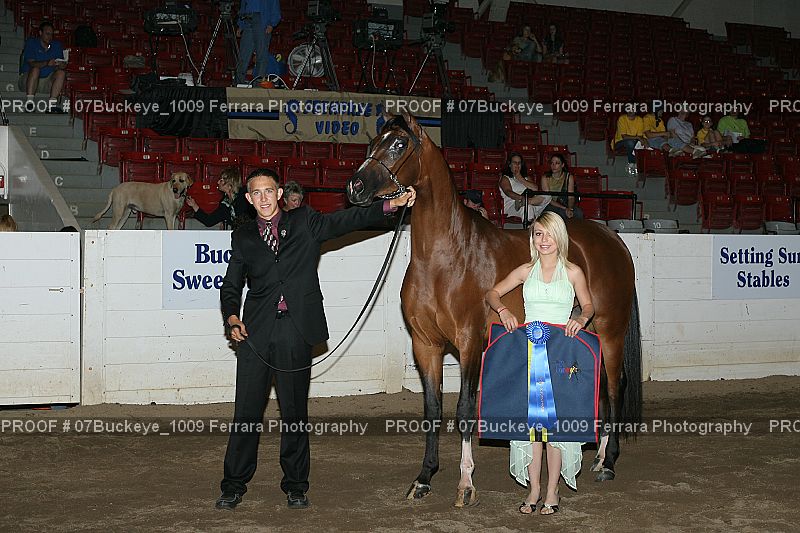 Proof 07Buckeye_1009