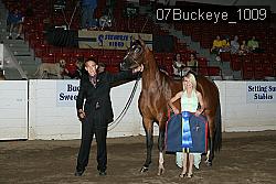 07Buckeye_1009 proof
