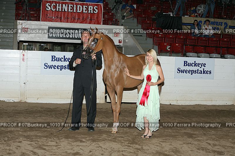 Proof 07Buckeye_1010