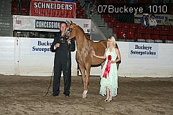 07Buckeye_1010 proof