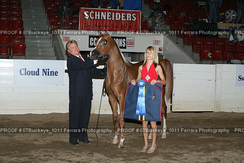 Proof 07Buckeye_1011