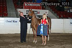 07Buckeye_1011 proof