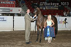 07Buckeye_1013 proof