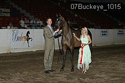 07Buckeye_1015 proof