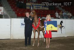 07Buckeye_1017 proof